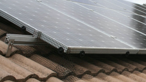 Melbourne Home Servicing Solar Panel Bird Mesh